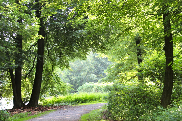 c0153740_114236.jpg