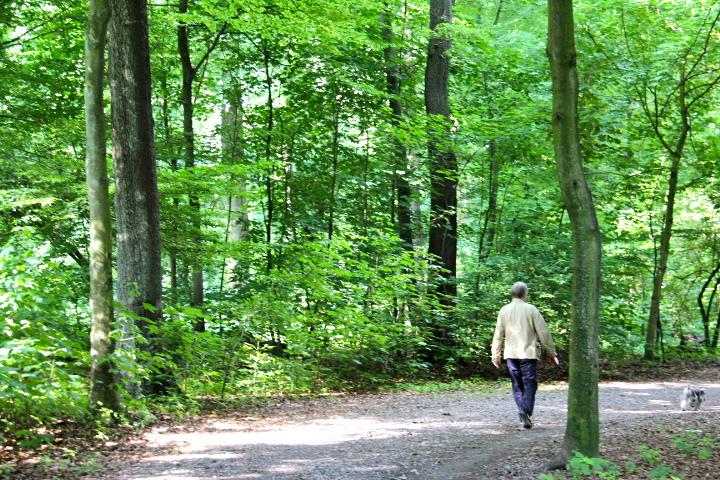 c0153740_123820.jpg