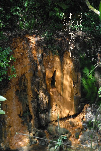 d0098541_17112555.jpg