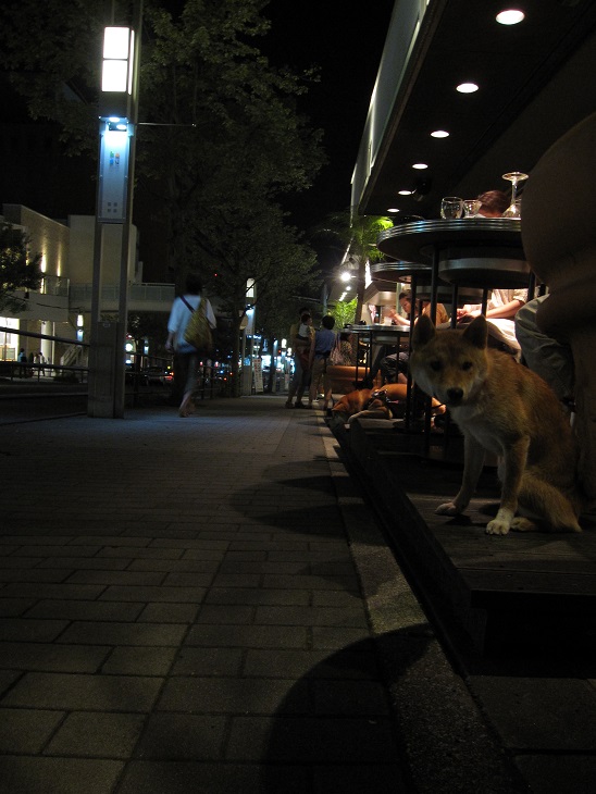 f0245650_8382940.jpg