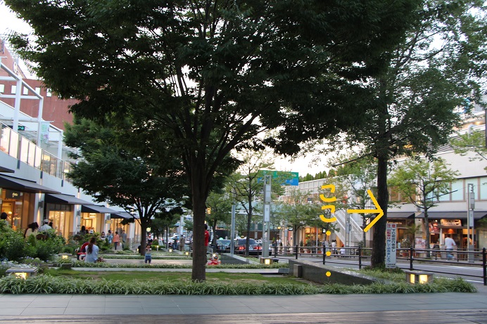 f0245650_88282.jpg