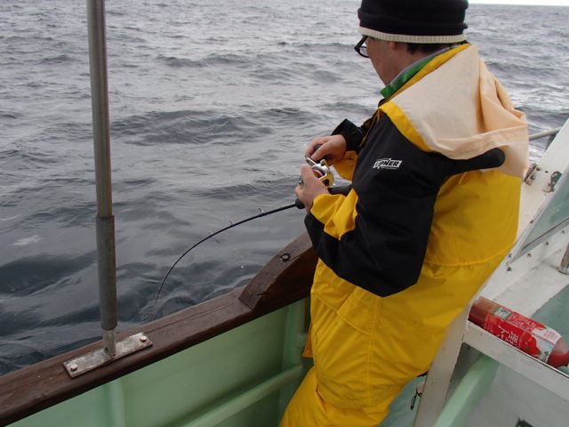a0248152_1734446.jpg