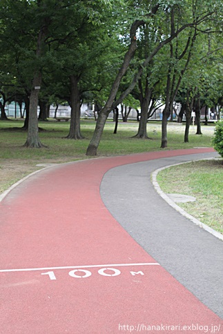 c0178453_81887.jpg