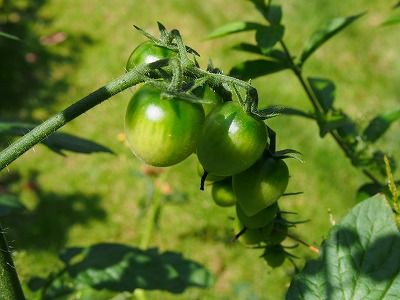 e0001860_21574222.jpg