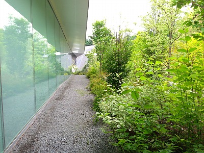 e0001860_22163842.jpg