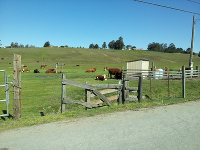 e0240460_11254643.jpg