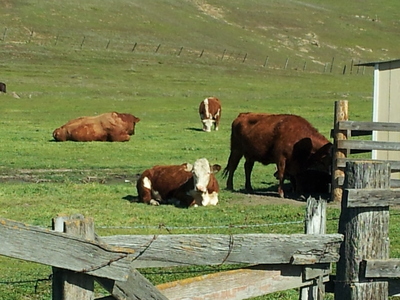 e0240460_1126124.jpg