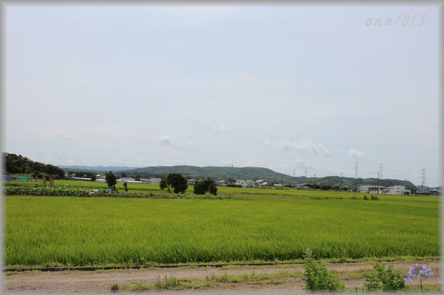 e0232963_1946143.jpg