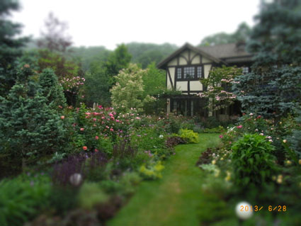 b0075364_20401310.jpg