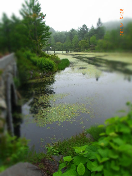 b0075364_20402782.jpg