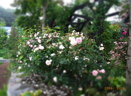 b0075364_2040996.jpg