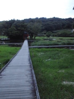 c0238371_212352.jpg