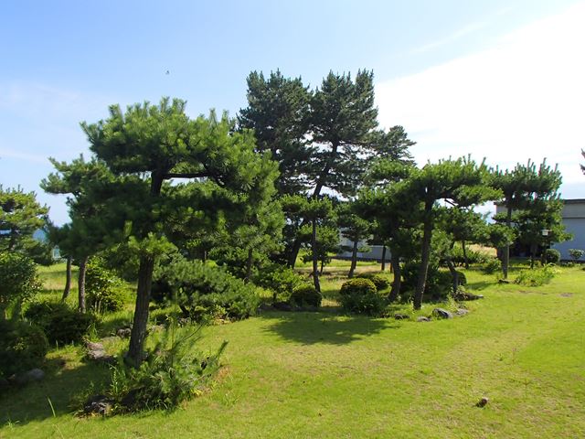 d0143678_0393.jpg