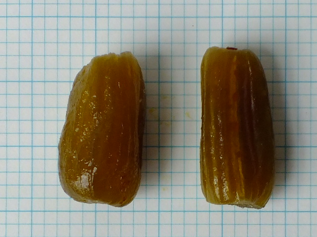 e0145782_1604144.jpg
