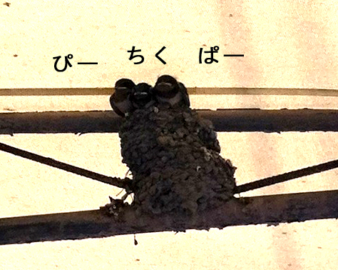 a0153395_1846227.jpg