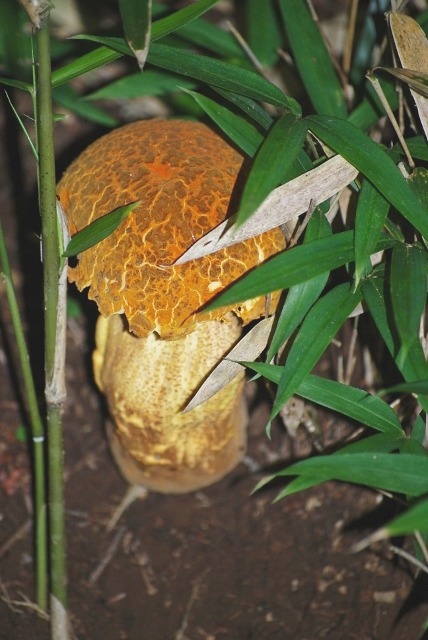 e0025300_220423.jpg