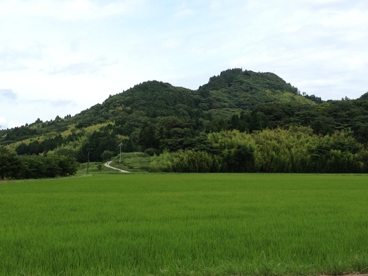 f0154002_10244224.jpg