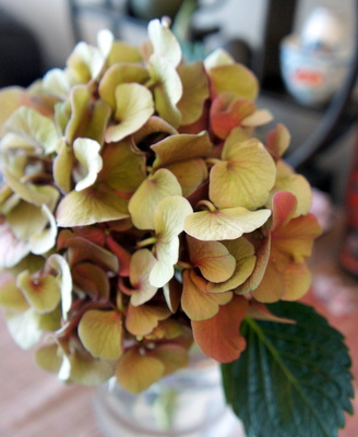 c0148705_9161161.jpg