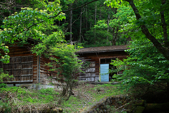a0148606_1512493.jpg