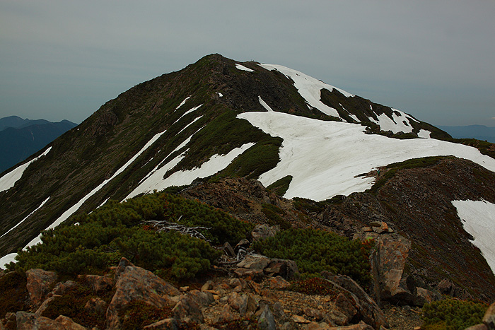 a0148606_1519879.jpg