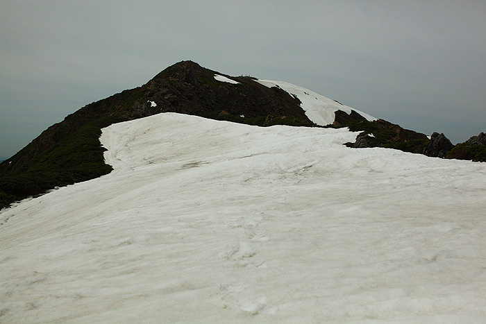 a0148606_1521796.jpg