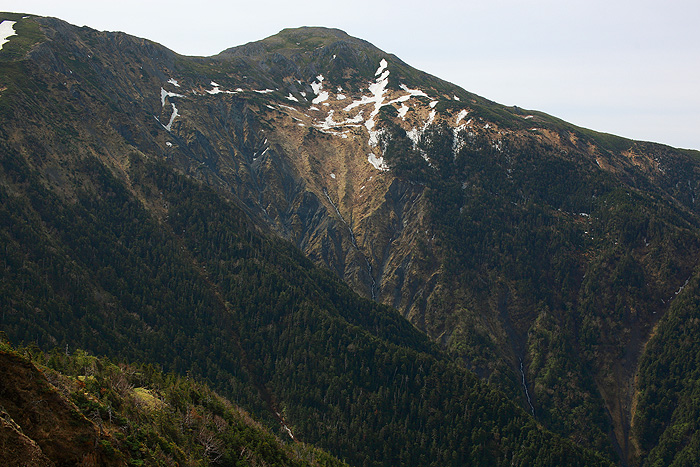 a0148606_1532124.jpg