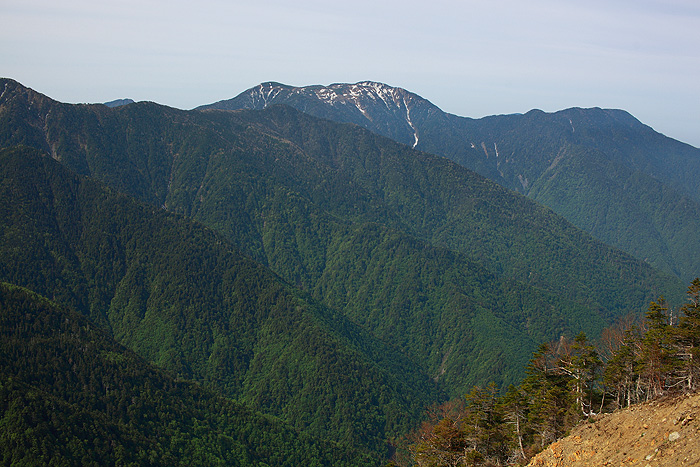 a0148606_153403.jpg