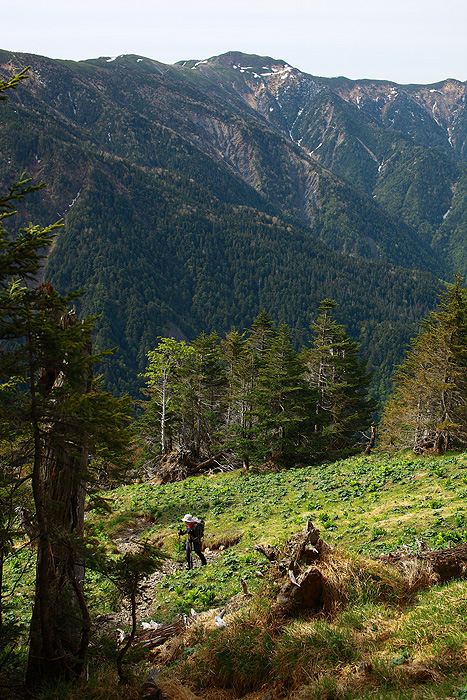 a0148606_1542033.jpg
