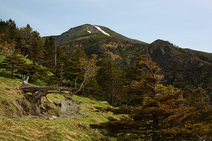 a0148606_154345.jpg