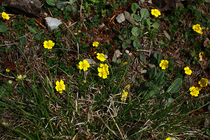 a0148606_1543764.jpg