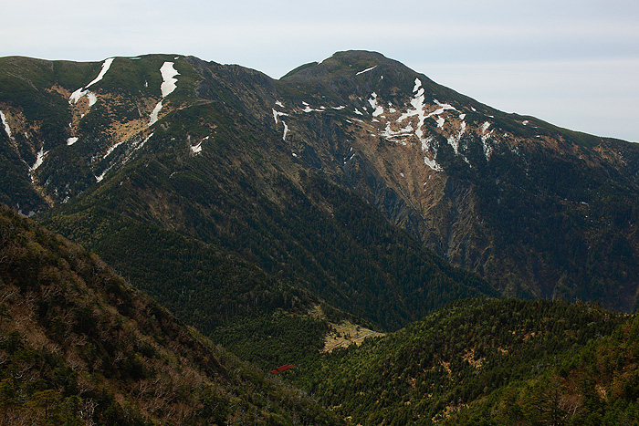 a0148606_1553753.jpg