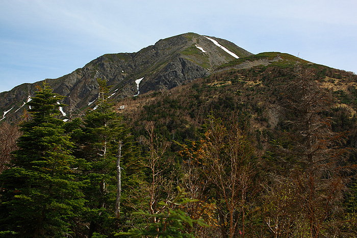 a0148606_155845.jpg