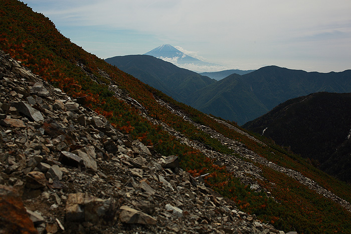 a0148606_1573728.jpg