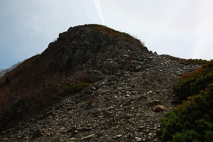 a0148606_158381.jpg