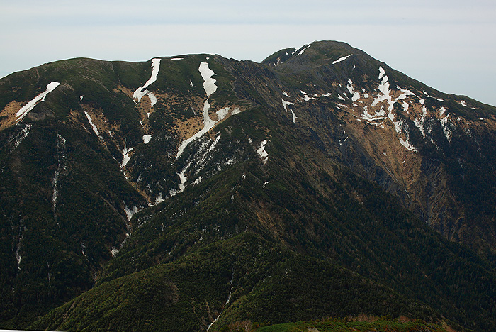 a0148606_1592569.jpg