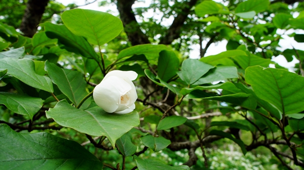 b0244811_058149.jpg