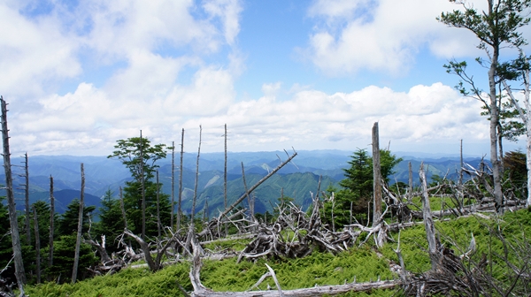 b0244811_0593652.jpg