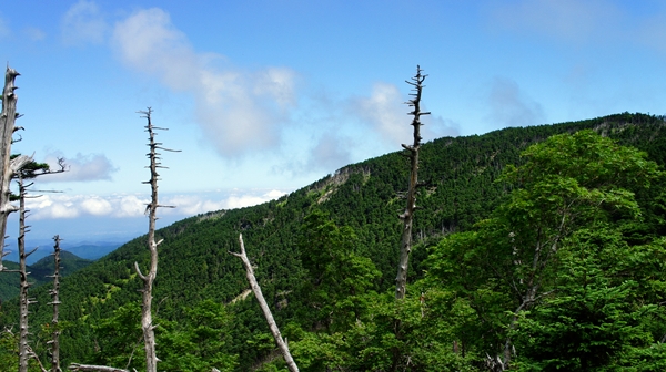 b0244811_111356.jpg