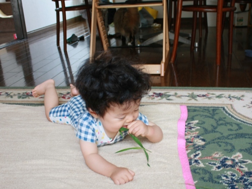 c0158916_2243834.jpg