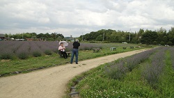 f0000521_3272337.jpg