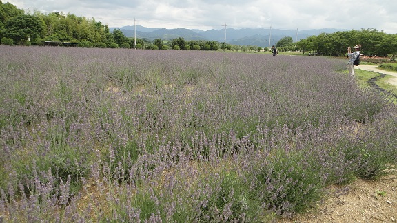 f0000521_3282724.jpg
