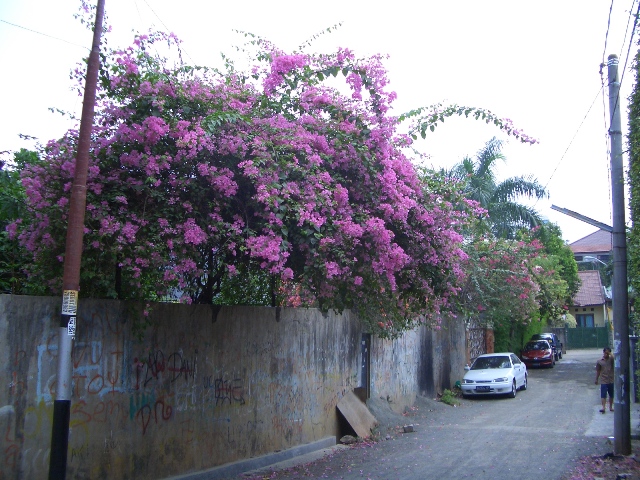 a0024829_1922765.jpg
