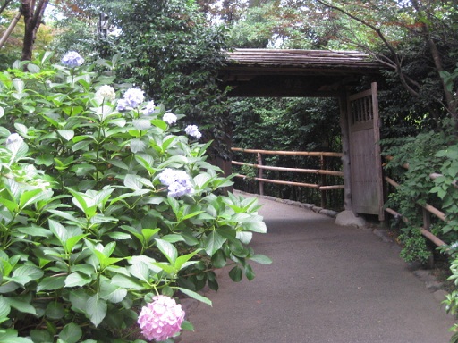 c0217931_11111445.jpg