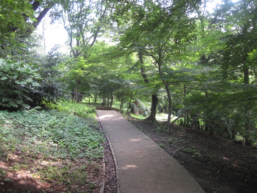 c0217931_11131317.jpg
