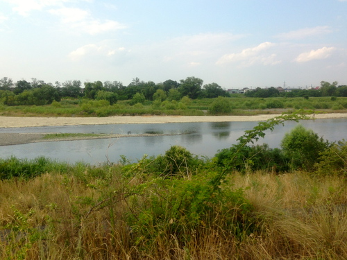 d0013834_844950.jpg