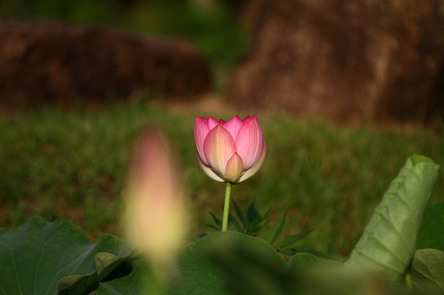 a0242438_19515388.jpg