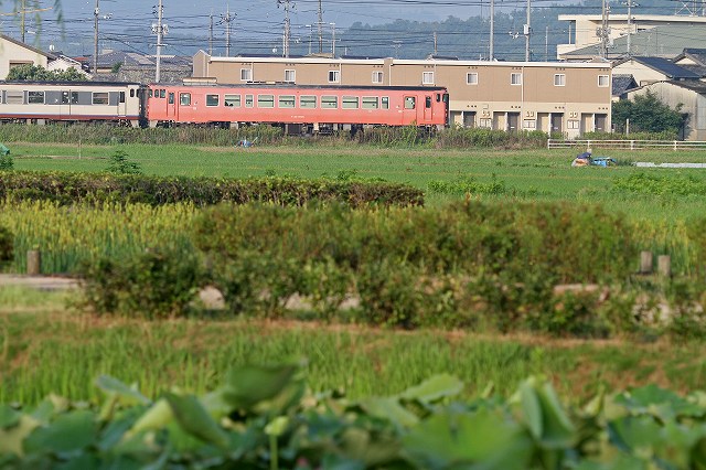 a0242438_19522583.jpg