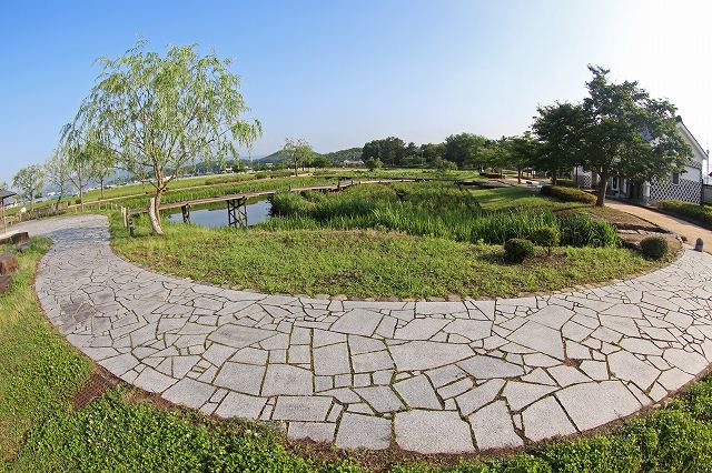 a0242438_19543995.jpg
