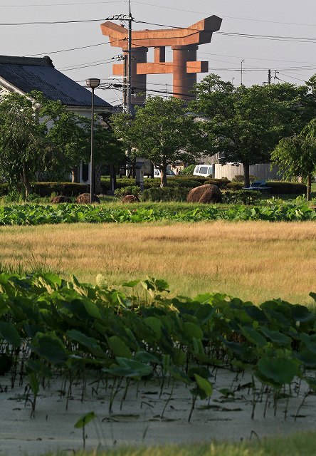 a0242438_19545963.jpg