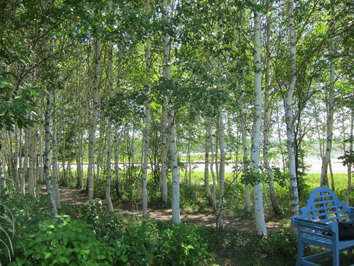 b0178339_21145154.jpg